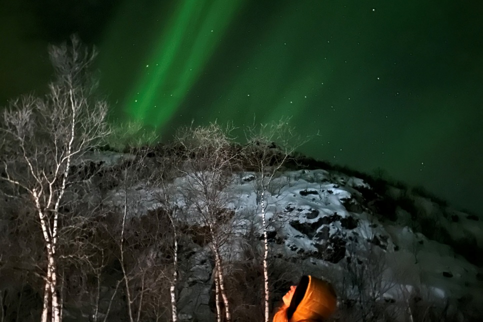 A person looking up at beams of green light (Northern Lights) in the sky behind a snow-covered mountain and some bare trees