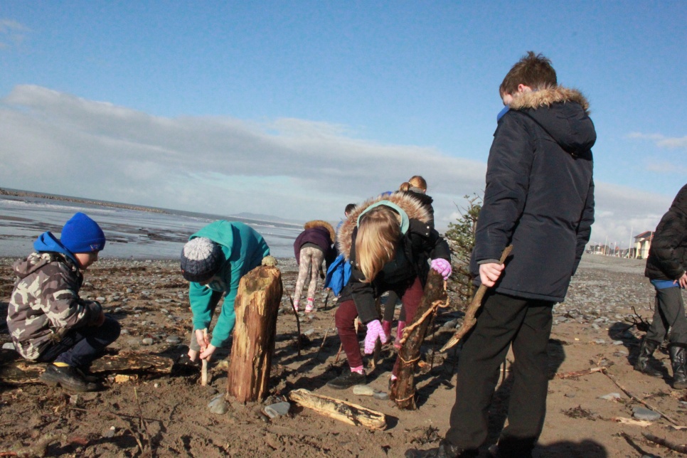 A group of school students digging in the sand at the beach