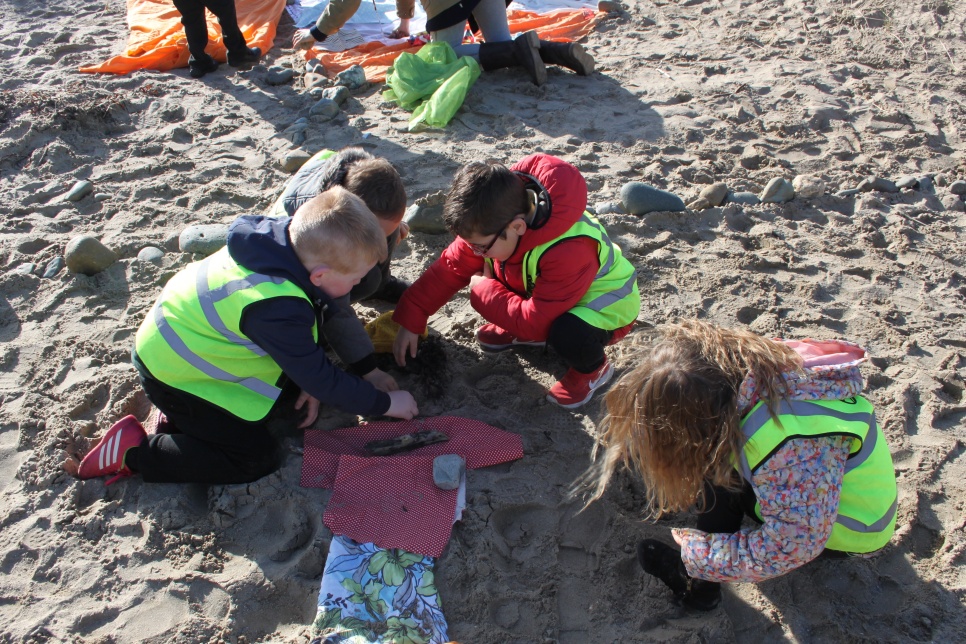 Pupils working on a Creative Learning project at the beach